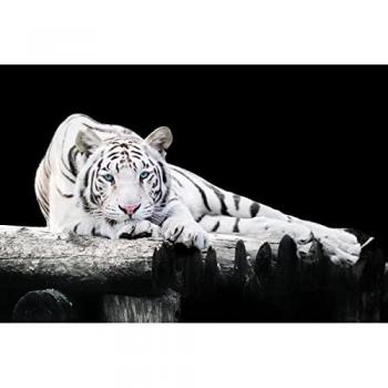 Verre Artistique Pause Délicate 65x97 cm – CEANOTHE Décor Muraux