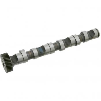 FEBI Camshaft for AUDI VW SKODA A4 Avant A6 A8 Allroad 4B 59109022K