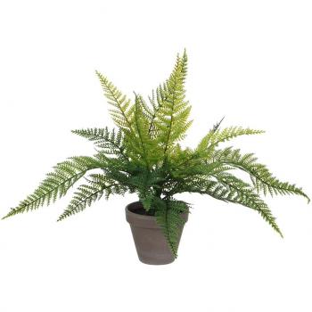 40 cm Mica Decorative Fern in Transparent Pot