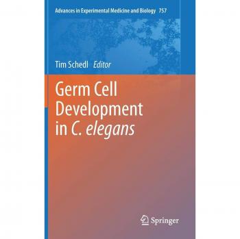 Germ Cell Development in C. elegans