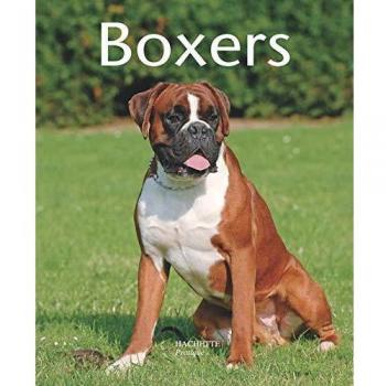Boxers : Bien les comprendre et bien les soigner, les conseils d'un expert pour votre animal favori