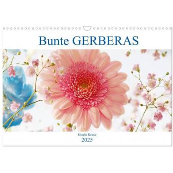 Bunte Gerberas (Wandkalender 2025 DIN A3 quer) CALVENDO Monatskalender