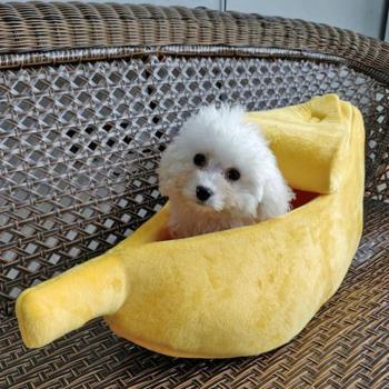 Lit Banane pour Chiens et Chats