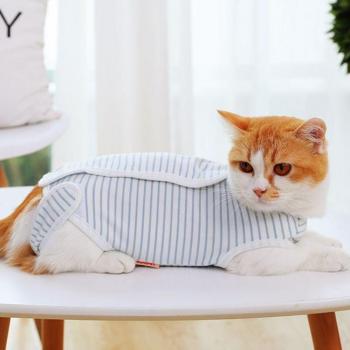Post-Surgery Cat Lick Prevention Suit