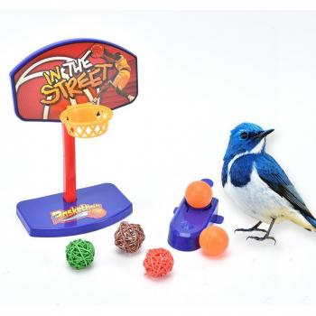 Parrot Chew Toy Balls