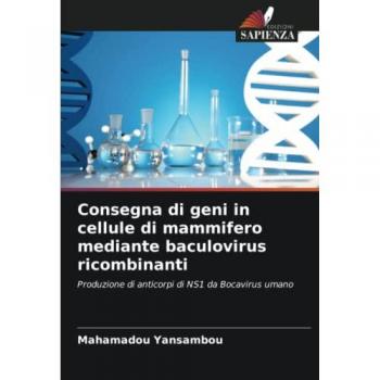 Consegna di geni in cellule di mammifero mediante baculovirus ricombinanti: Produzione di anticorpi di NS1 da Bocavirus umano