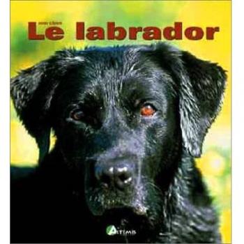 Le Labrador