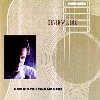 David Wilcox : Où m'as-tu découvert