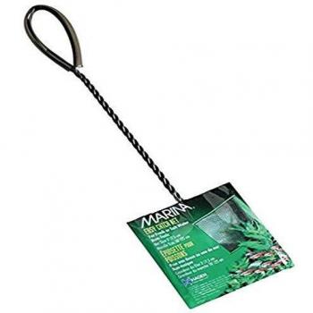 Marina Coarse Nylon Brush 6-Inch with 12-Inch Handle