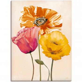 Wandaufkleber Bunte Mohnblumen II von Artland
