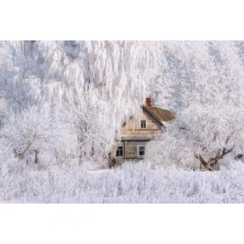 Papermoon Winterhaus‑Tapete „Haus in Schneelandschaft“ – 3 m × 2,23 m