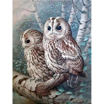 Night Owl Pair Diamond Embroidery Kit