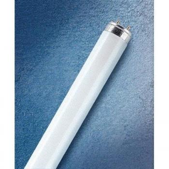 T8, tubo fluorescente, Osram, opaco, dritto, 2400 Lm, 30w